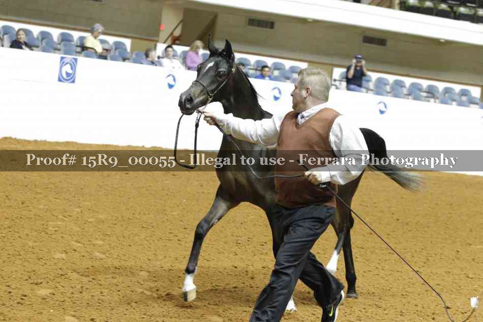 Proof 15R9_00055