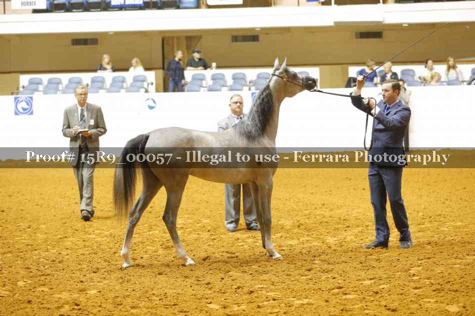 Proof 15R9_00057