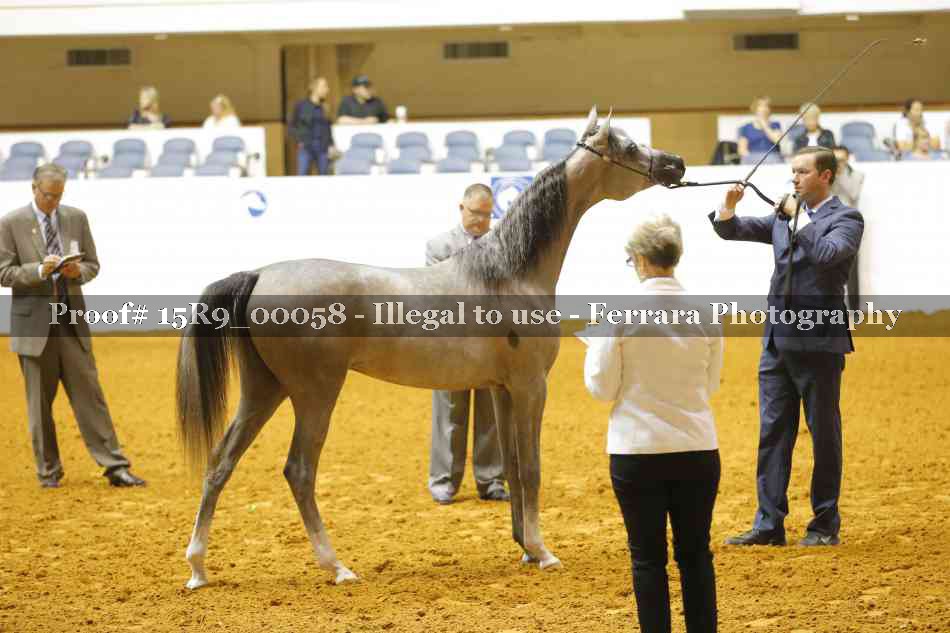 Proof 15R9_00058