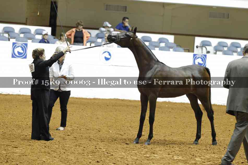 Proof 15R9_00063