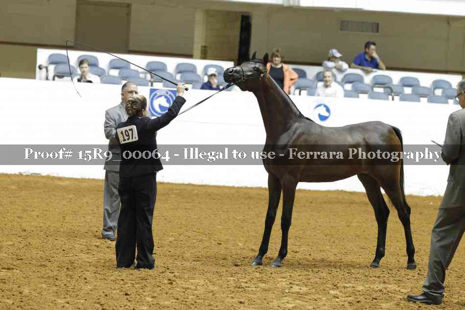 Proof 15R9_00064