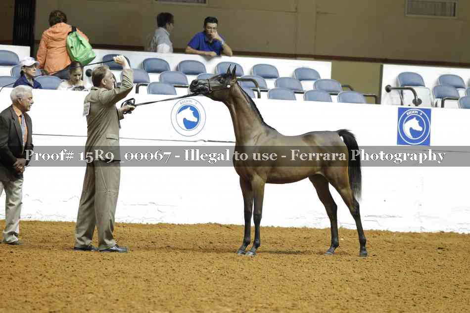 Proof 15R9_00067
