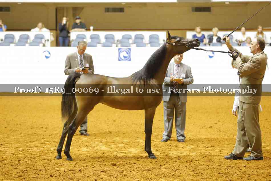 Proof 15R9_00069