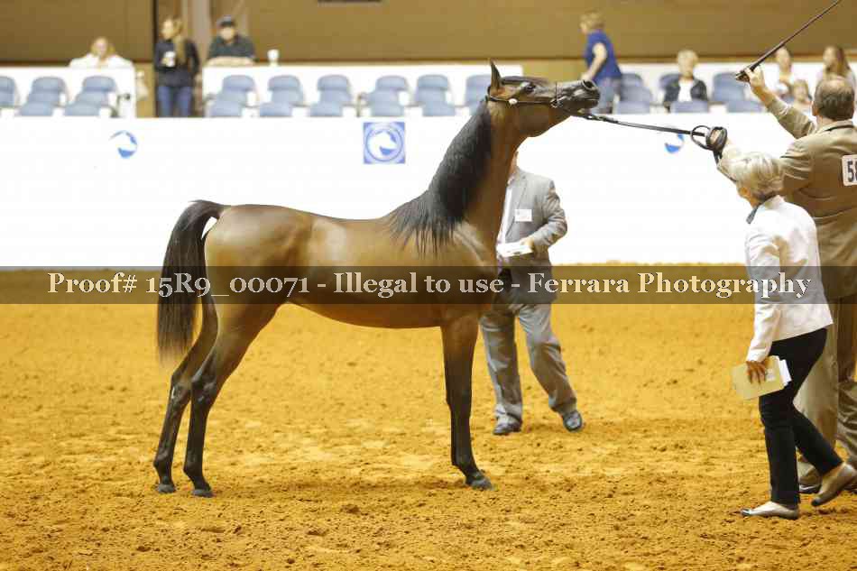 Proof 15R9_00071