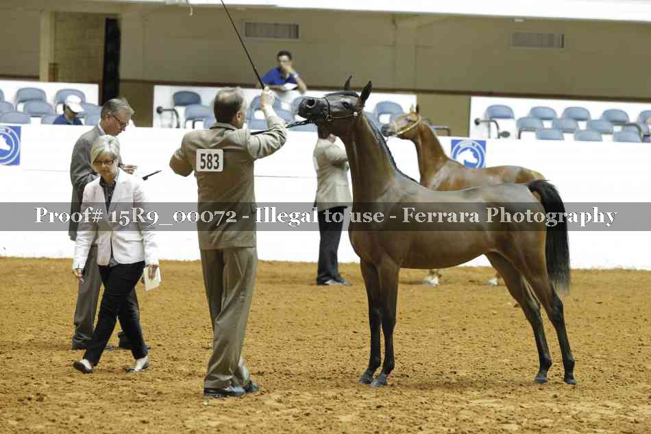 Proof 15R9_00072