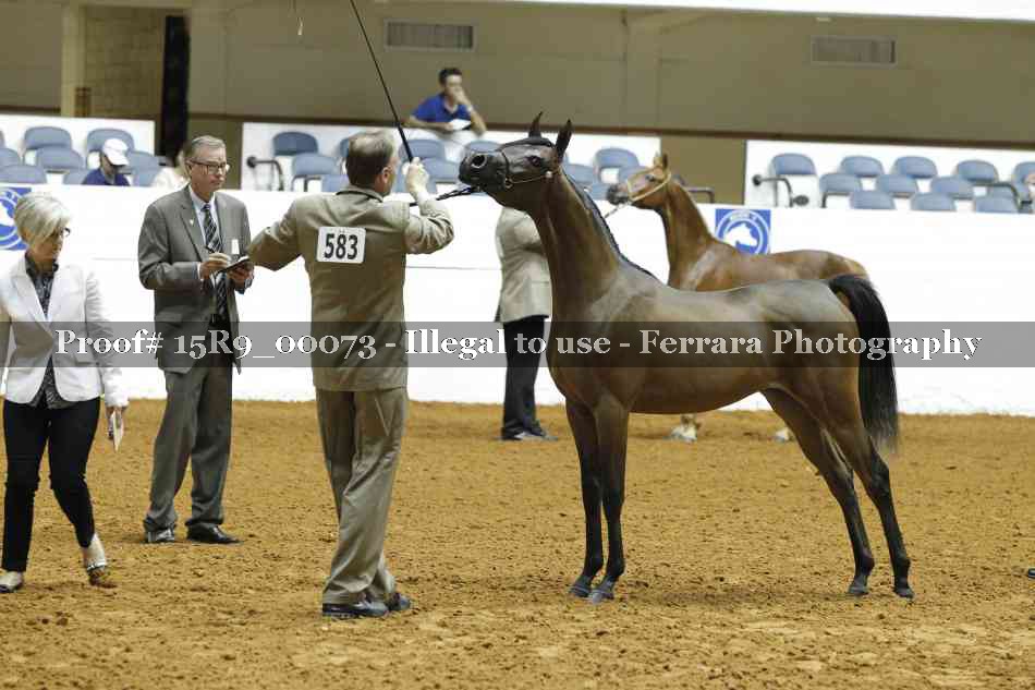 Proof 15R9_00073