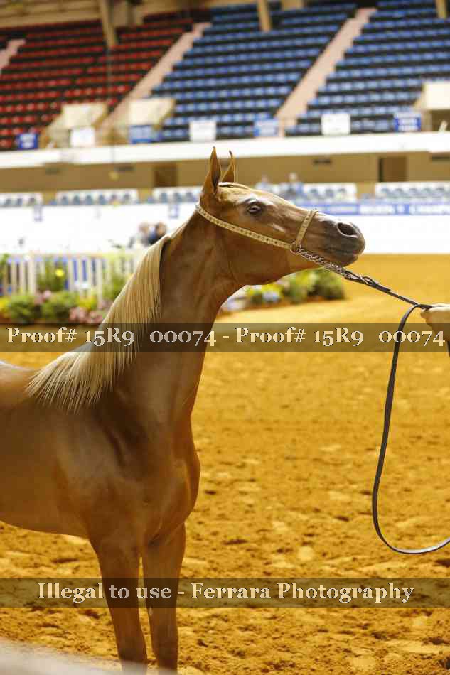Proof 15R9_00074