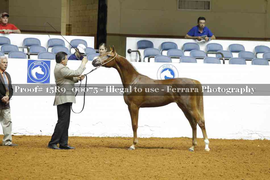 Proof 15R9_00075