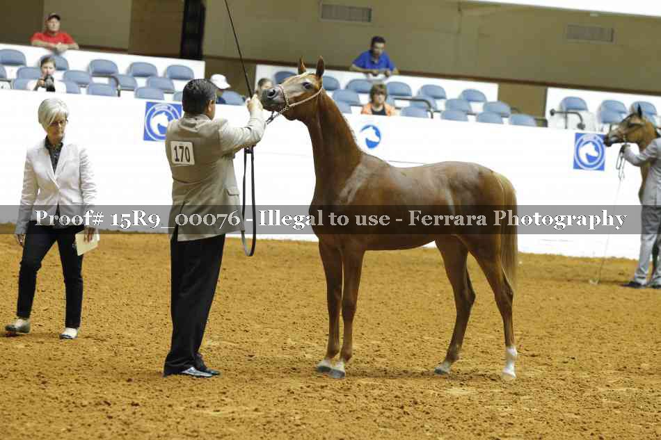 Proof 15R9_00076