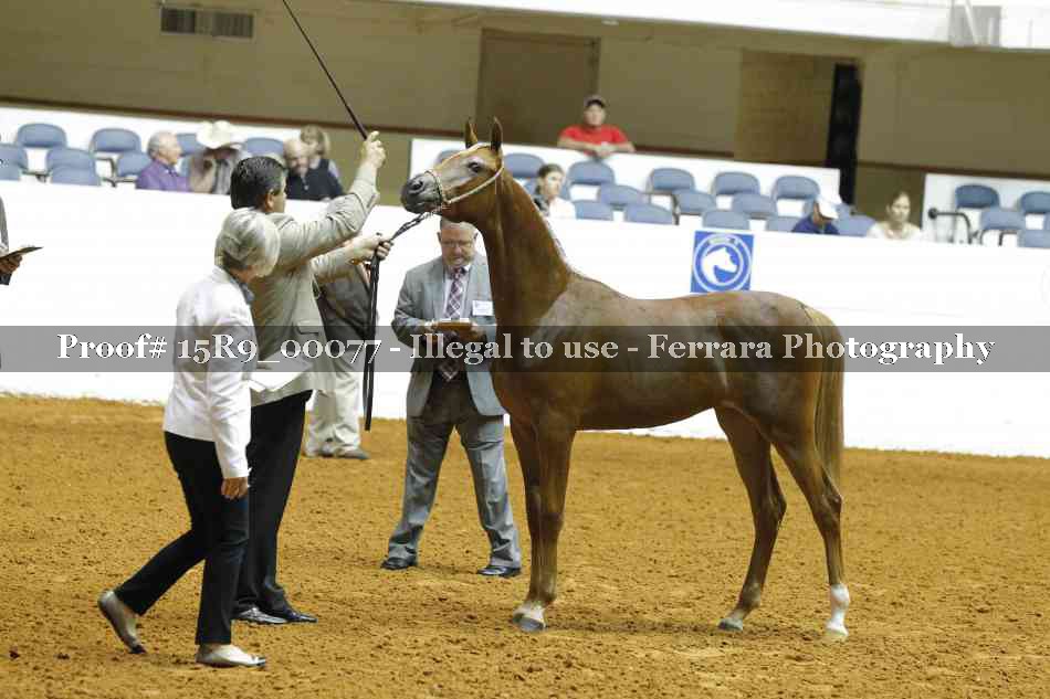 Proof 15R9_00077