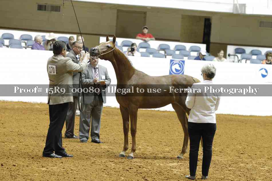 Proof 15R9_00080