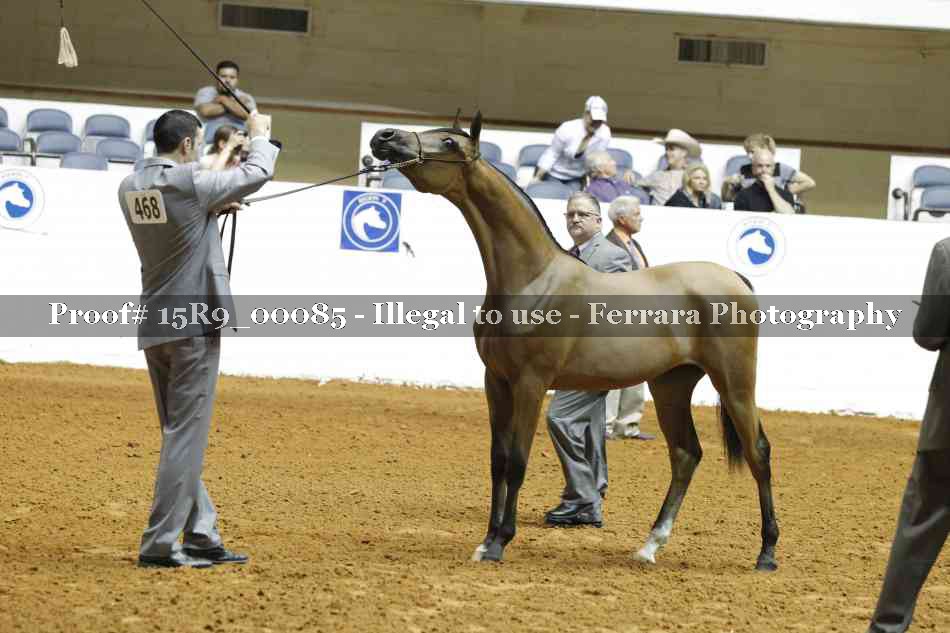Proof 15R9_00085