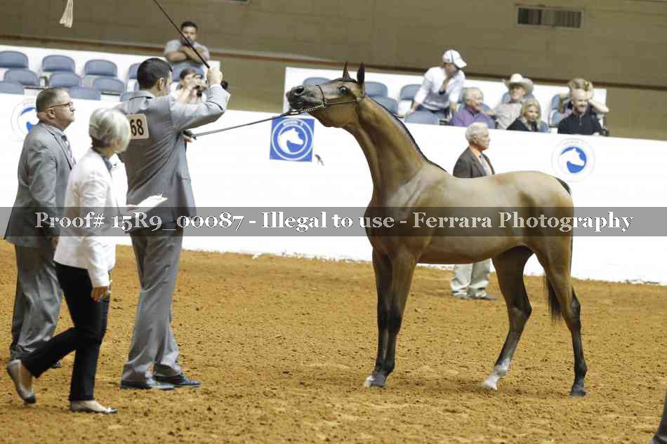 Proof 15R9_00087