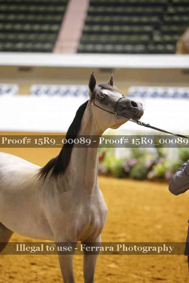 Proof 15R9_00089