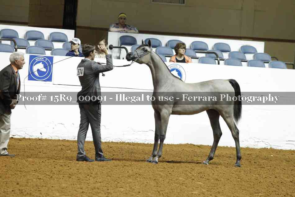Proof 15R9_00091