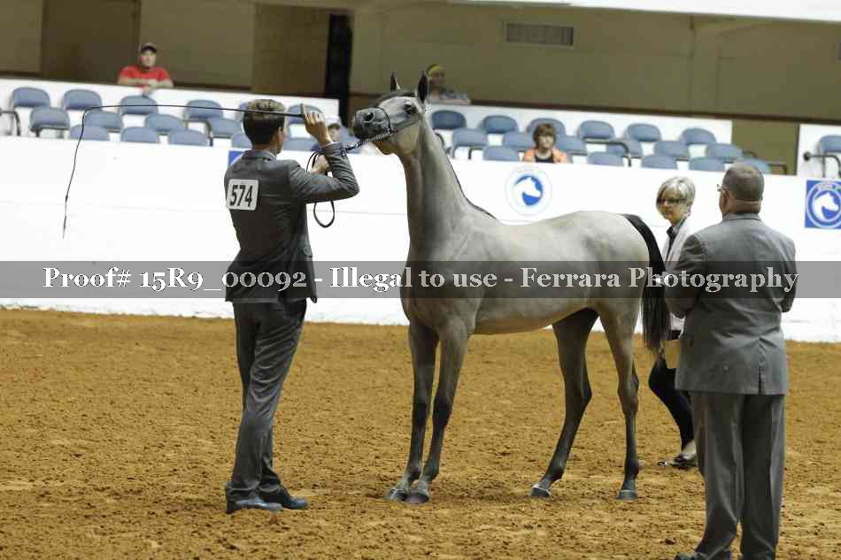 Proof 15R9_00092