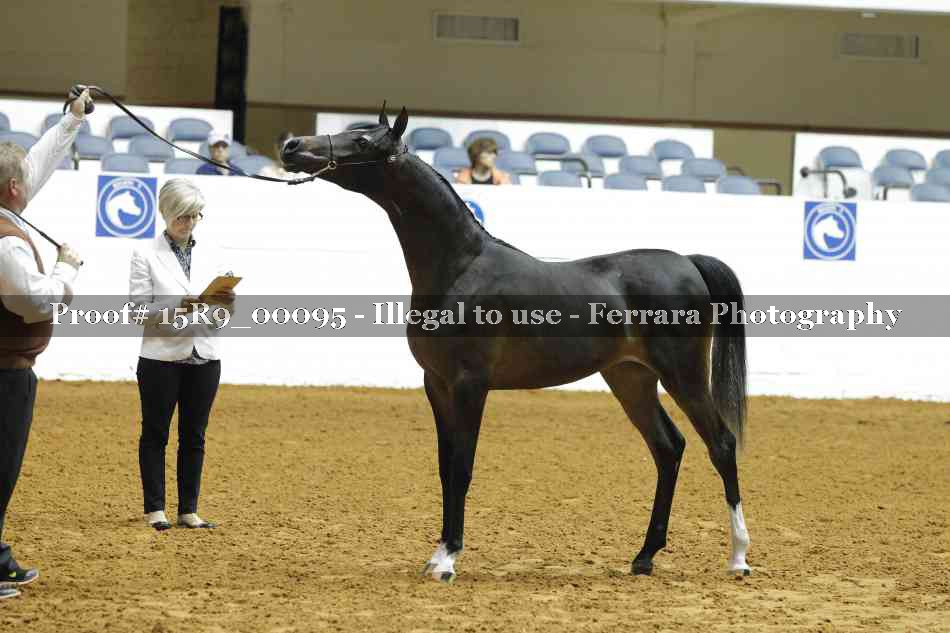 Proof 15R9_00095