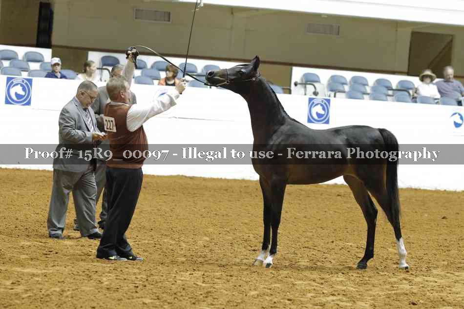 Proof 15R9_00097