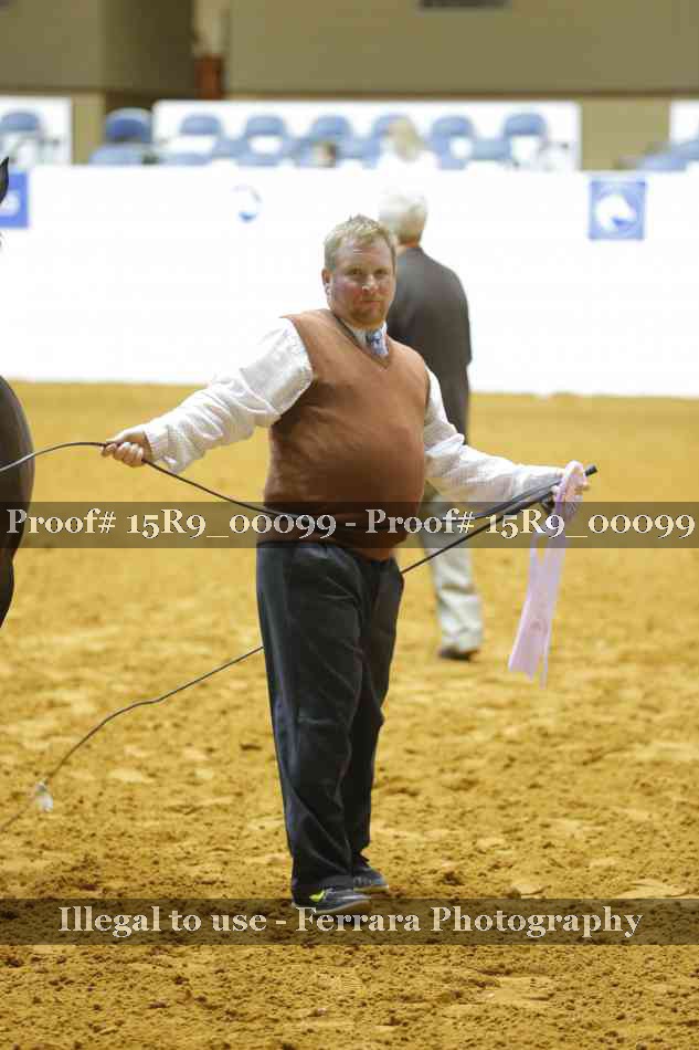 Proof 15R9_00099
