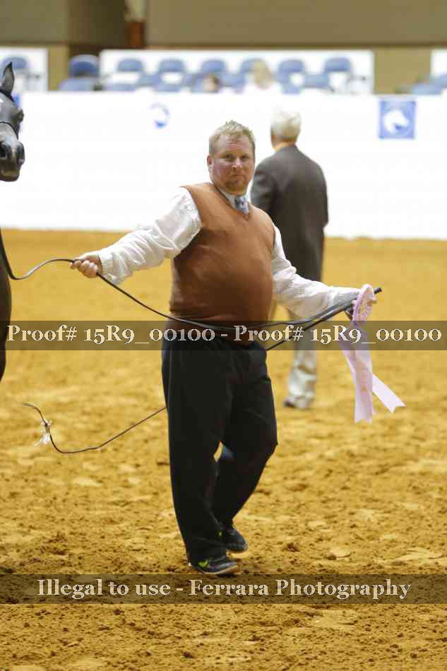 Proof 15R9_00100