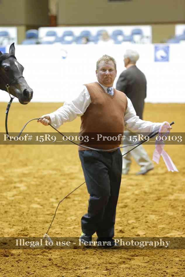 Proof 15R9_00103