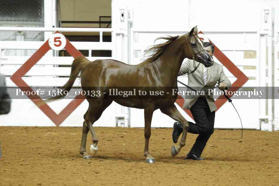 Proof 15R9_00133