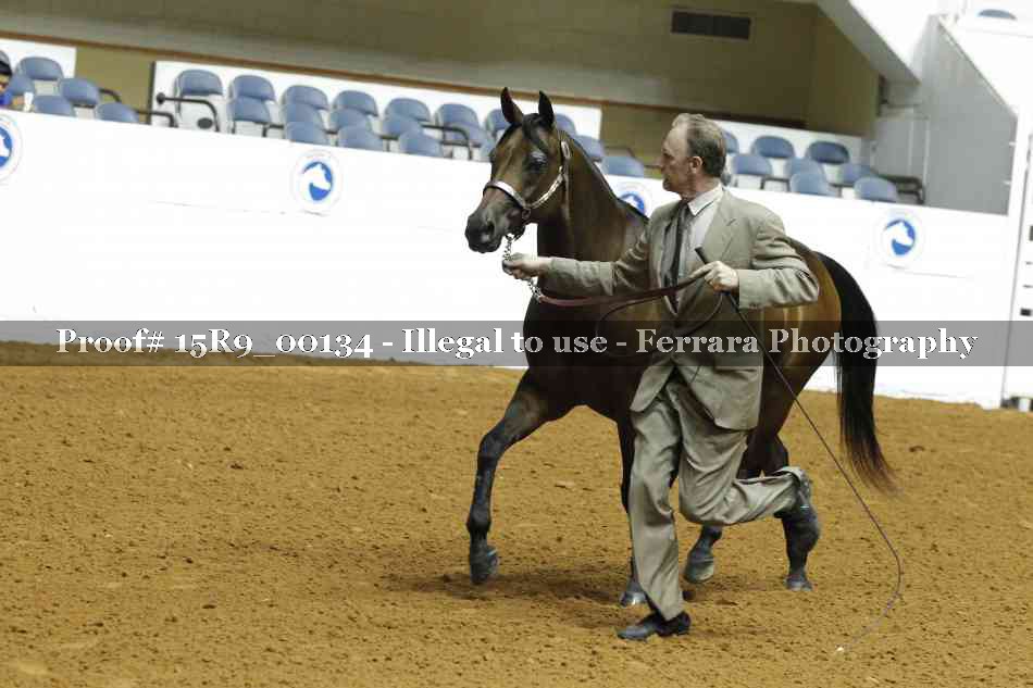 Proof 15R9_00134