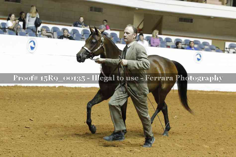 Proof 15R9_00135