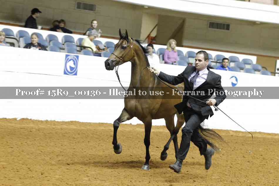 Proof 15R9_00136