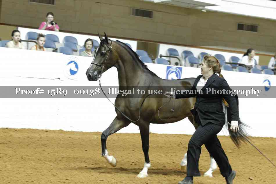 Proof 15R9_00138