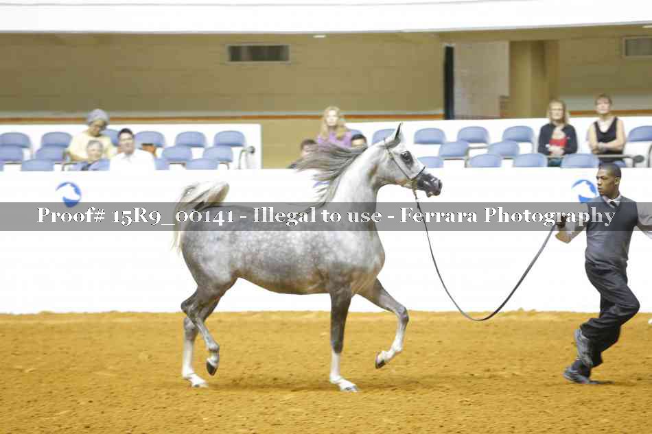 Proof 15R9_00141