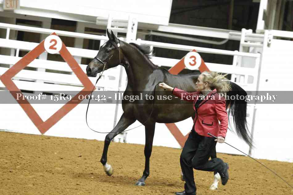 Proof 15R9_00142