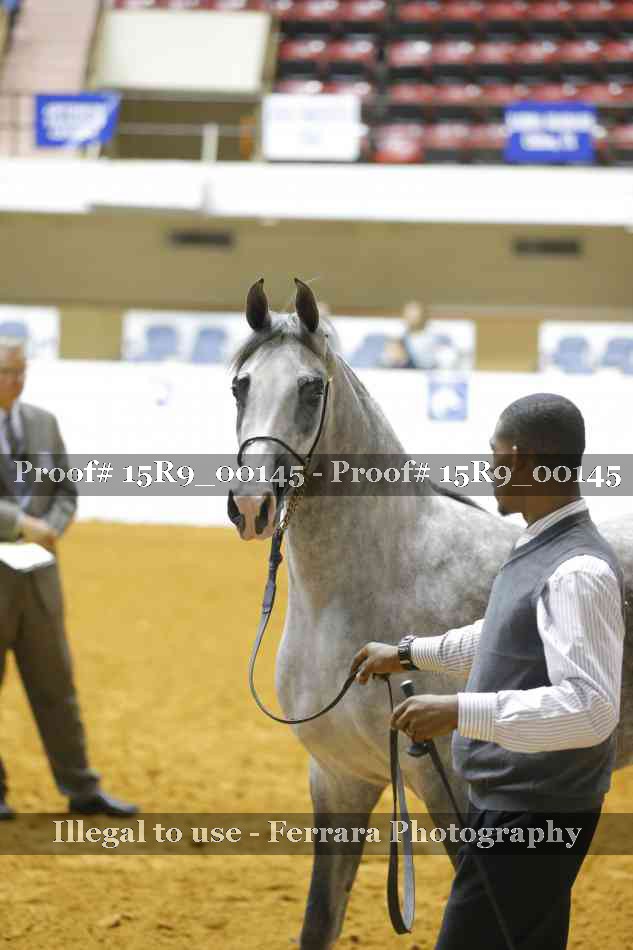 Proof 15R9_00145
