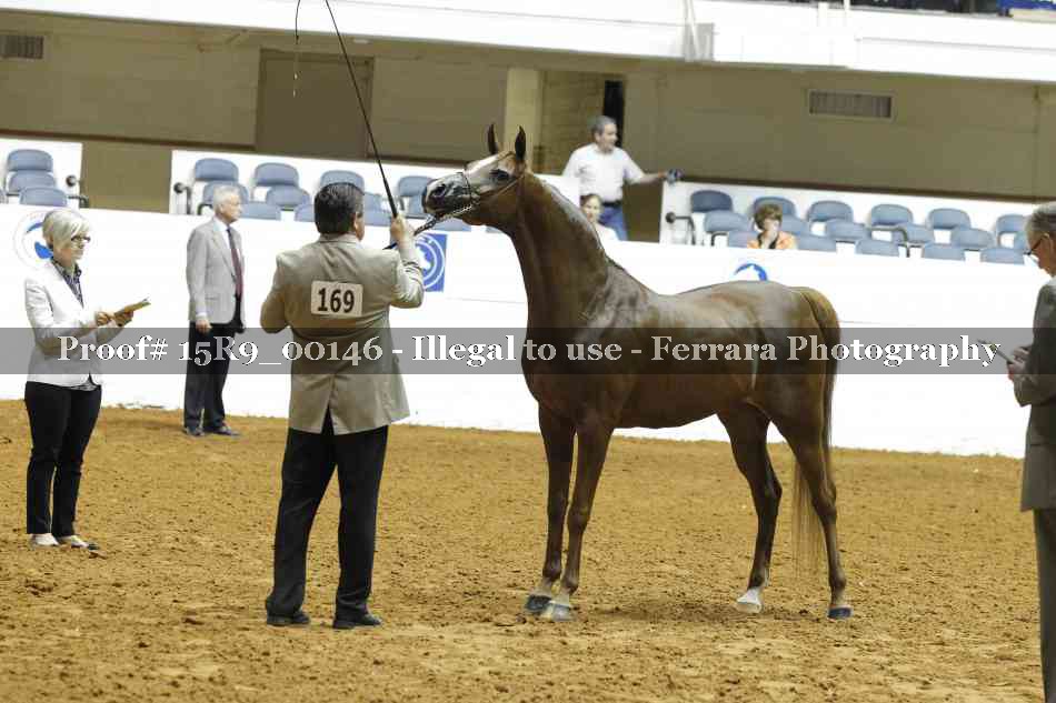 Proof 15R9_00146