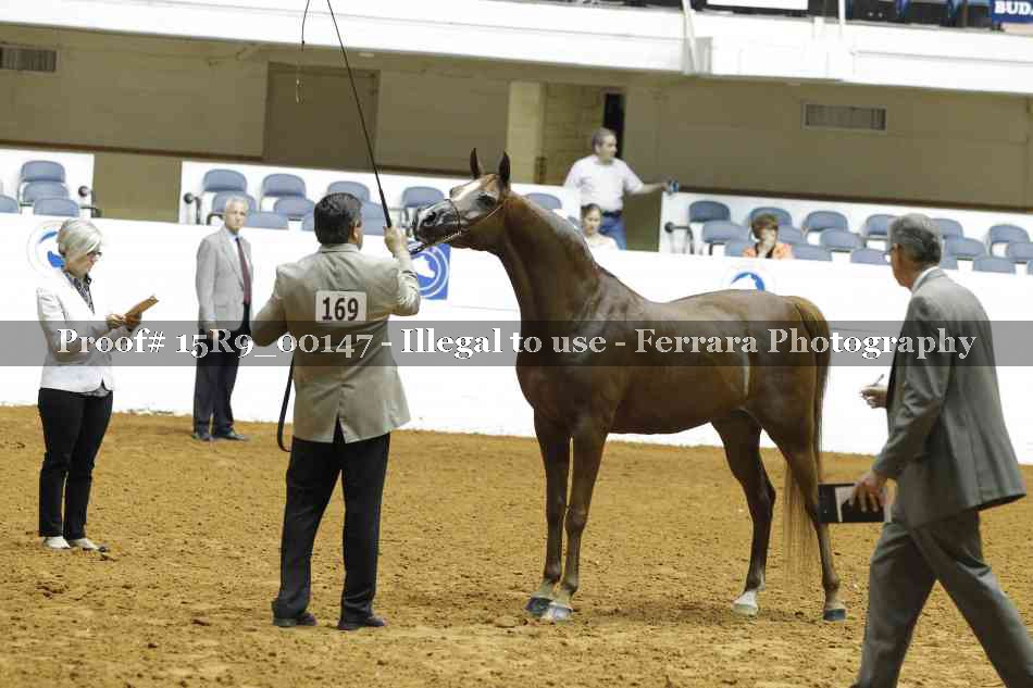 Proof 15R9_00147
