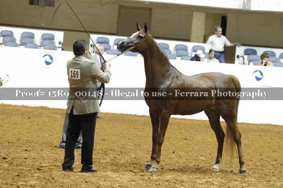 Proof 15R9_00148