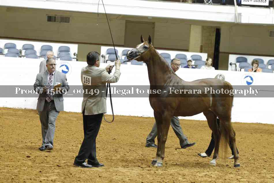 Proof 15R9_00149