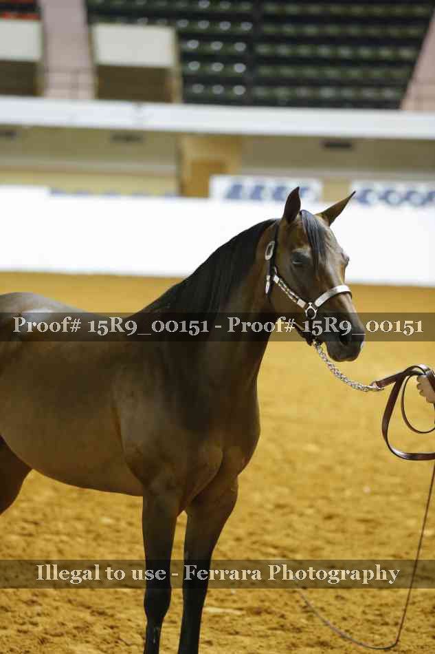 Proof 15R9_00151