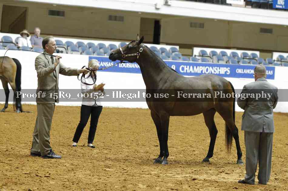 Proof 15R9_00152