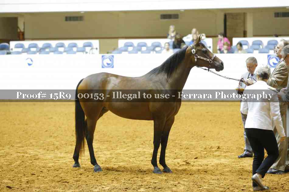 Proof 15R9_00153