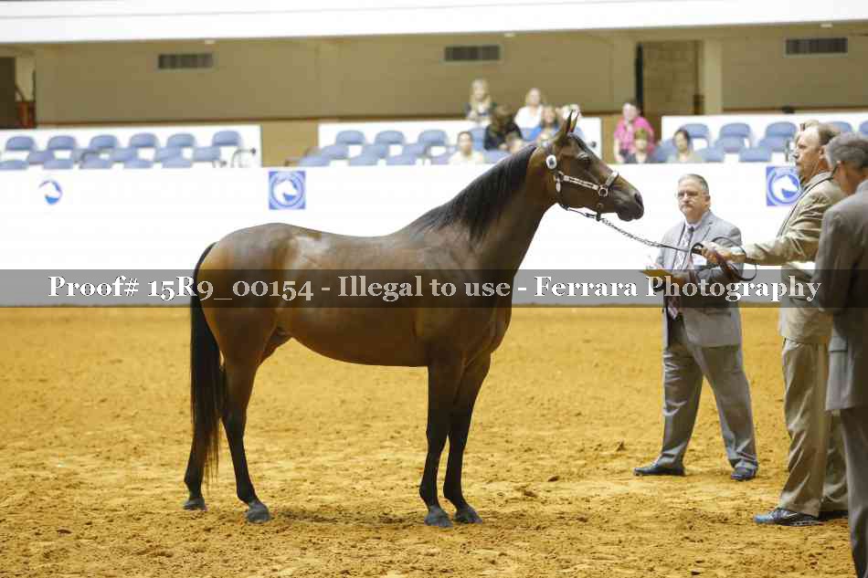 Proof 15R9_00154