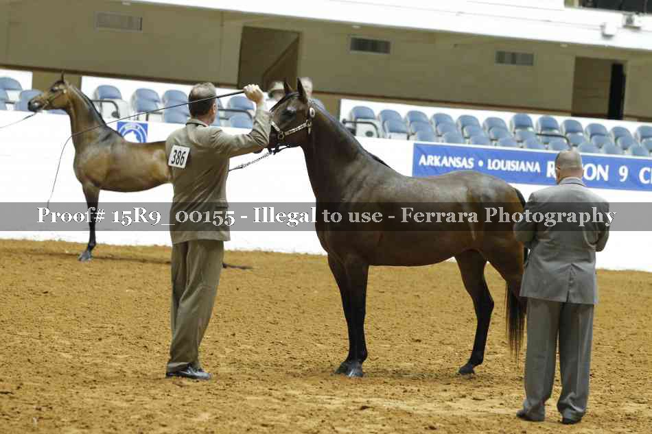 Proof 15R9_00155