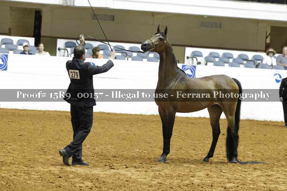 Proof 15R9_00157