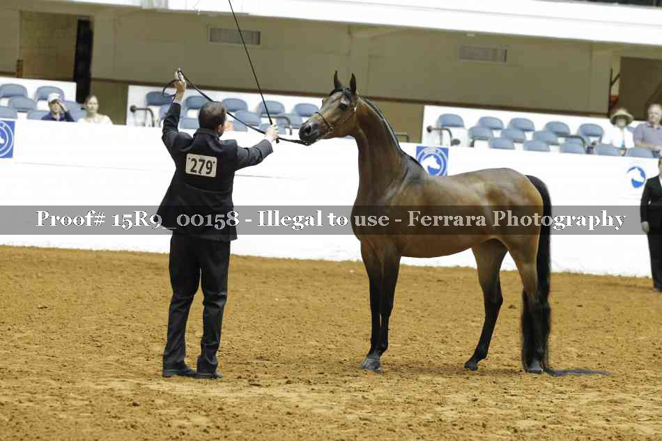 Proof 15R9_00158