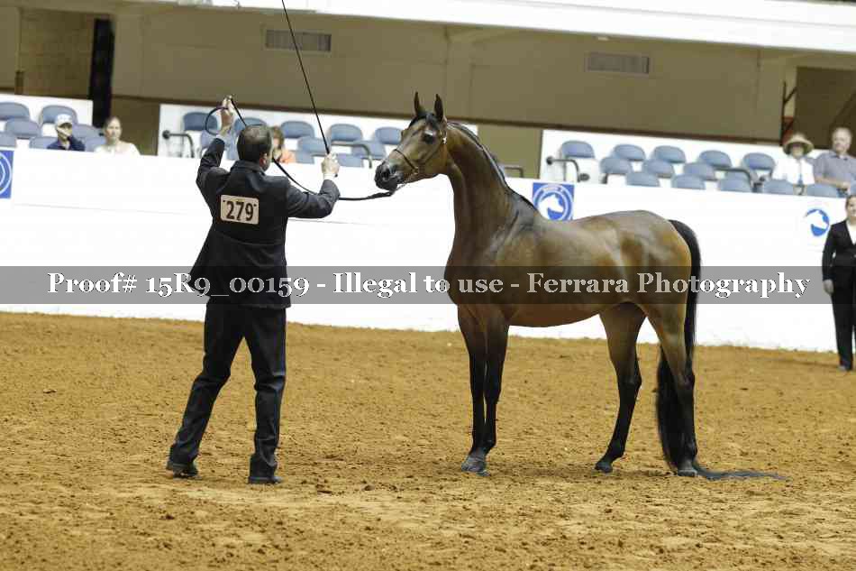 Proof 15R9_00159