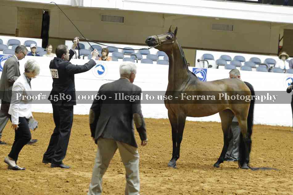 Proof 15R9_00160