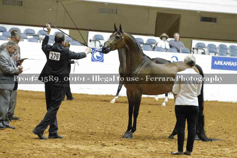 Proof 15R9_00161
