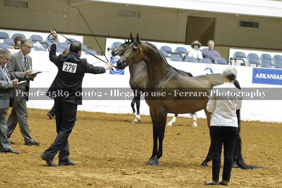 Proof 15R9_00162