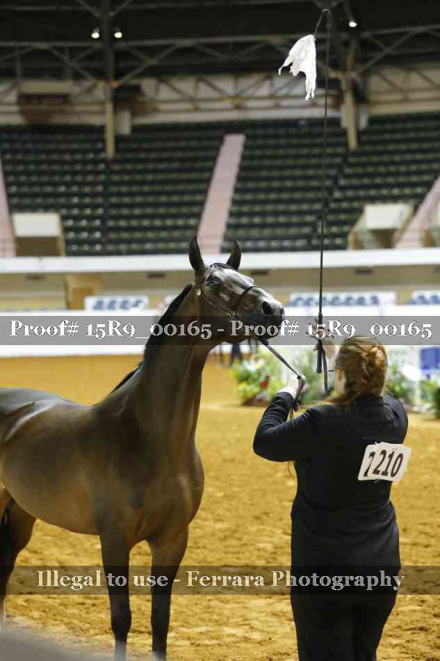 Proof 15R9_00165