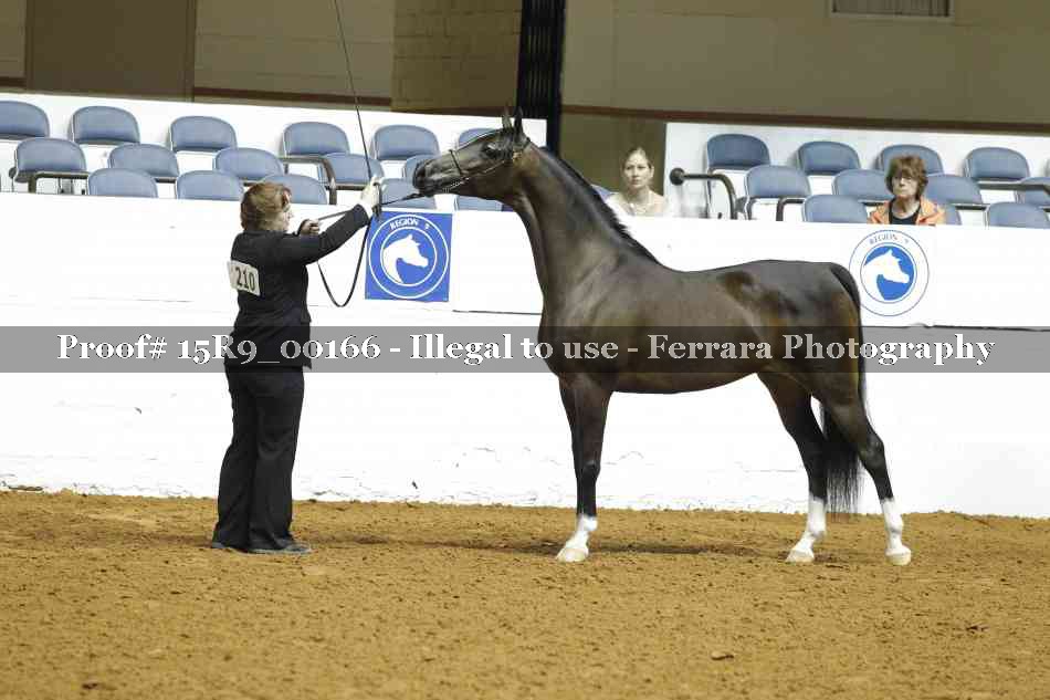 Proof 15R9_00166